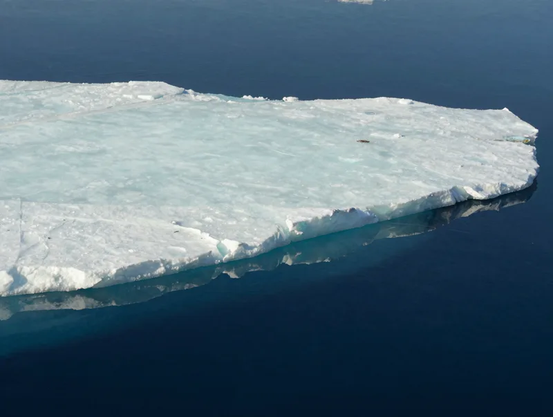 The edge of Arctic sea ice meeting dark cold water, pale mint and deep navy, stark and clean